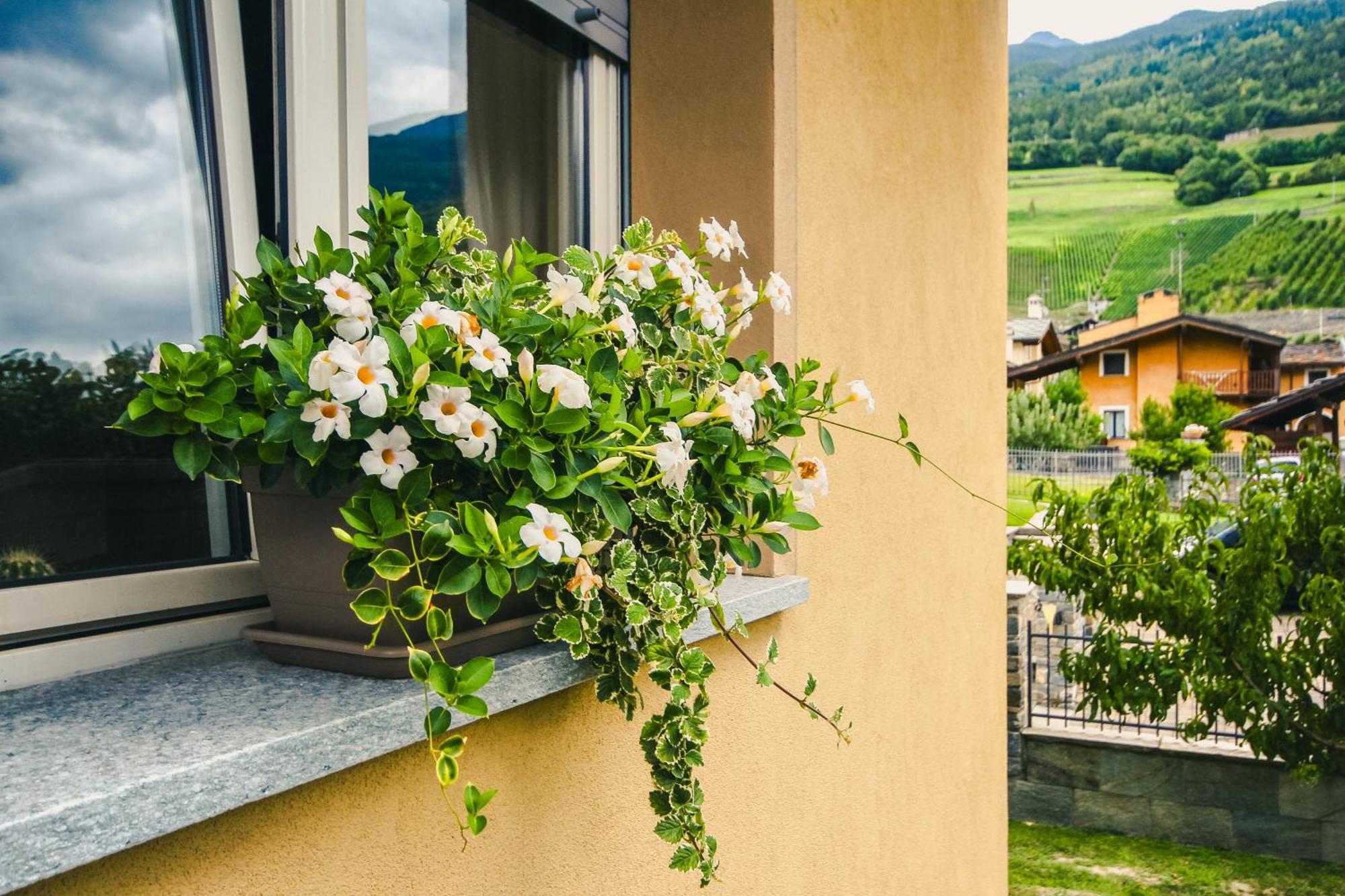 L'Adret Hotel Gressan Bagian luar foto